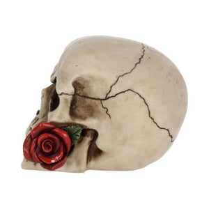 Rose From the Dead 15cm