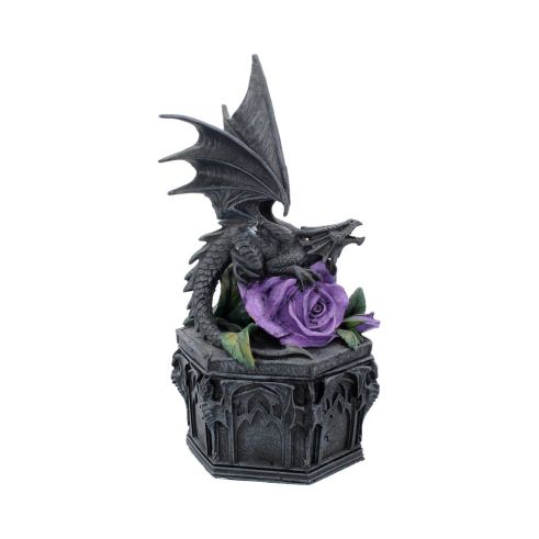 Dragon Beauty Box (AS) 25cm